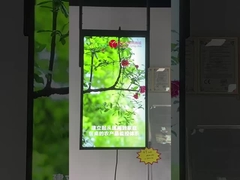 উইন্ডো প্রদর্শন